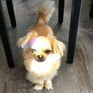 Meet your Posher, Chloe